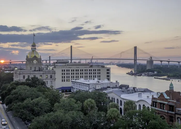 Savannah Serendipity
